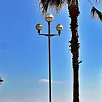 L'opera 尼斯