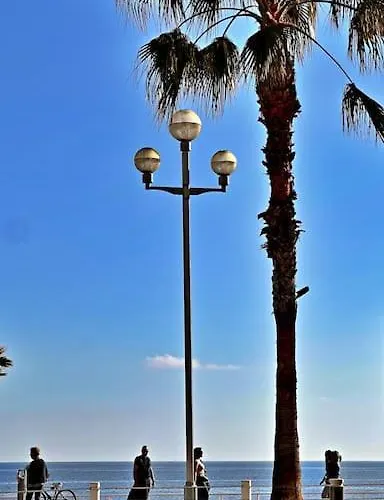 L'opera Nice